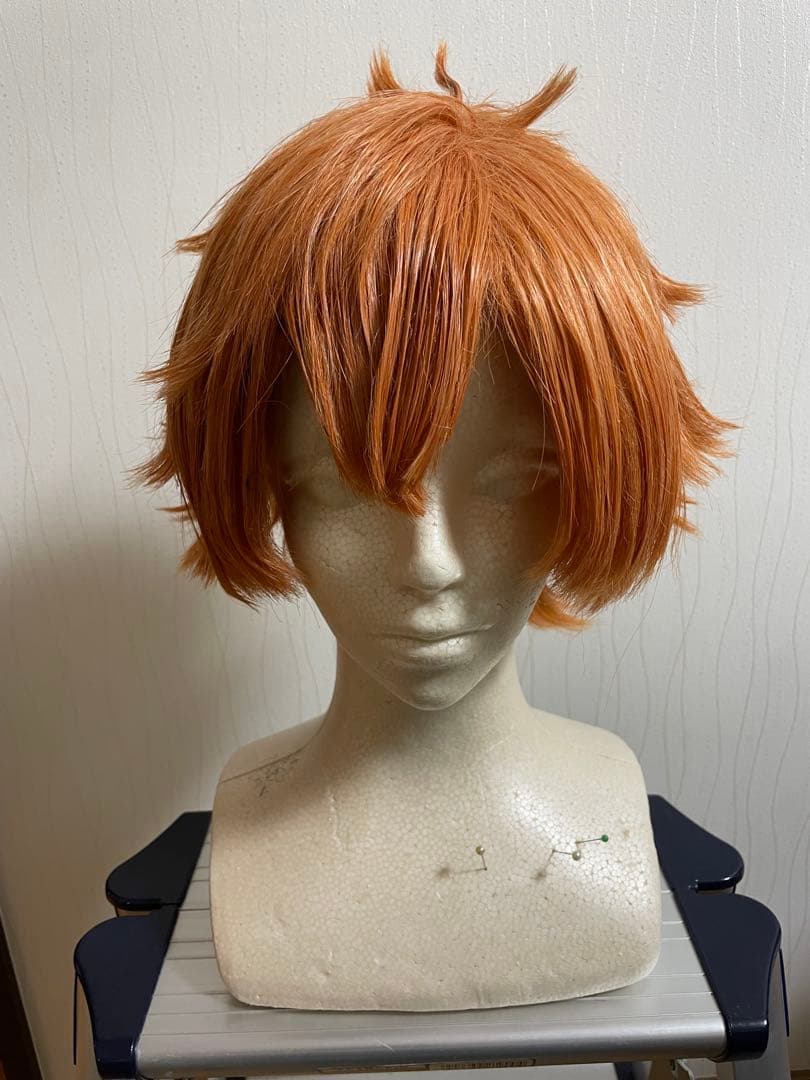 エース・トラッポラ 通常 ウィッグ - メルカリ