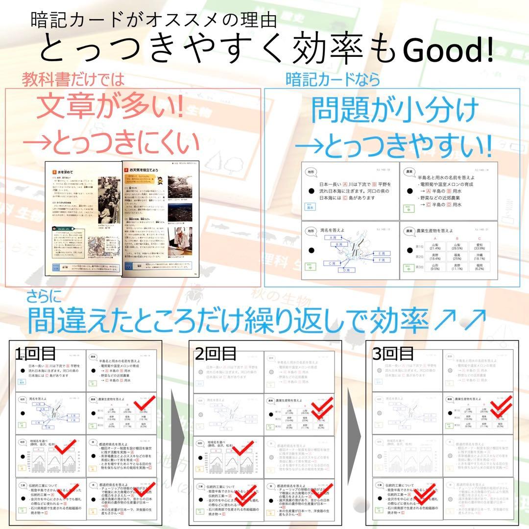 (avocado)【4年下 理社国11-14回　切断穴あけなし】