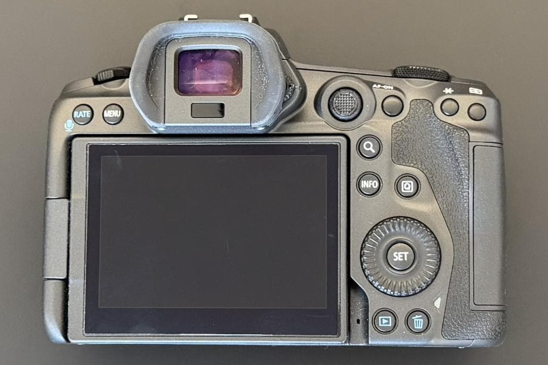 ショット回数300以下】Canon EOS R5 ボディ キヤノン - メルカリ