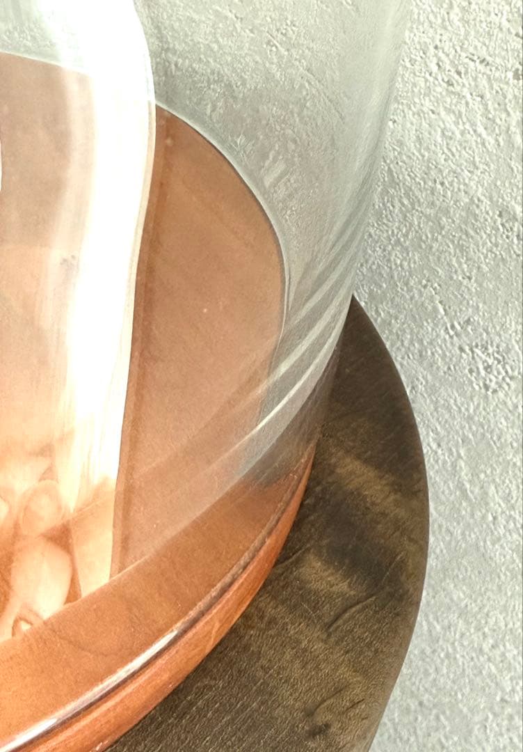 蠣崎マコト ケーキドーム大サイズ 未使用品