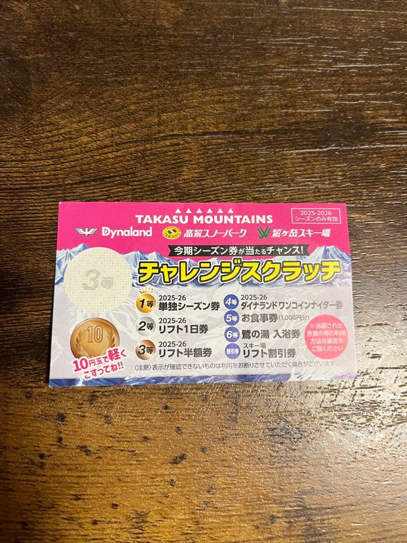 高鷲スノーパーク ダイナランド 半額券 - メルカリ