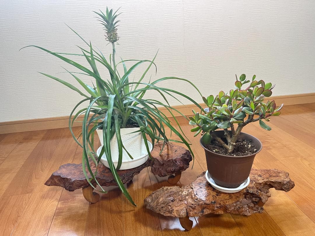 天然一枚板】飾り台 盆栽台 花瓶台 座卓 足付き 大小2