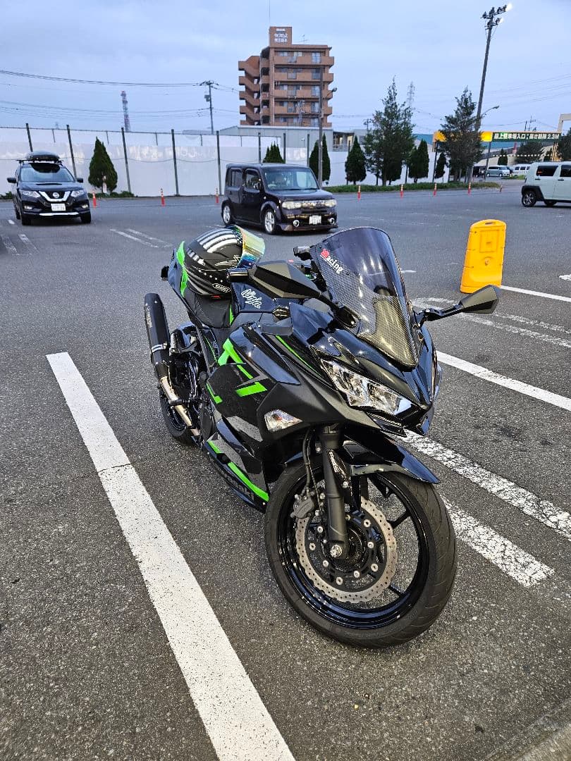 カリオストロ様専用マジカルレーシング Ninja400/250 18~ - メルカリ