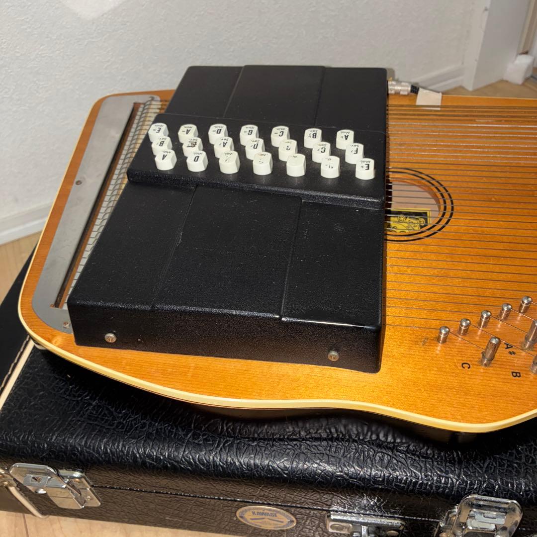 ピックアップ搭載！ 希少 オートハープ オスカーシュミット