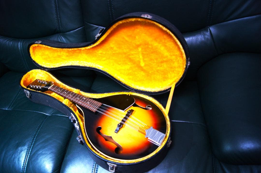 フラットマンドリン (8弦) ハードケース付き - メルカリ