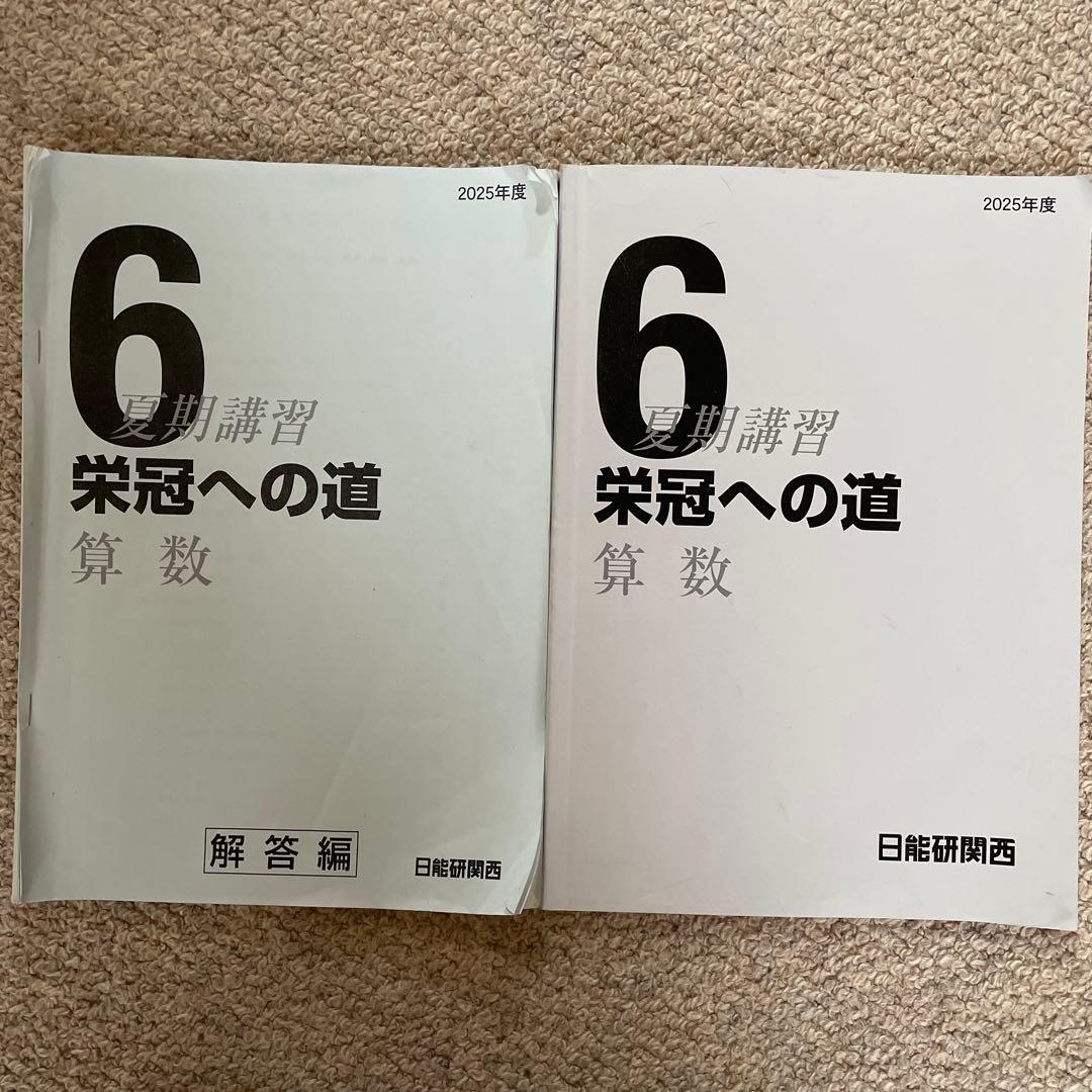 6年算数 日能研関西夏季講習 ￼問題集・解答 2025年度 - メルカリ