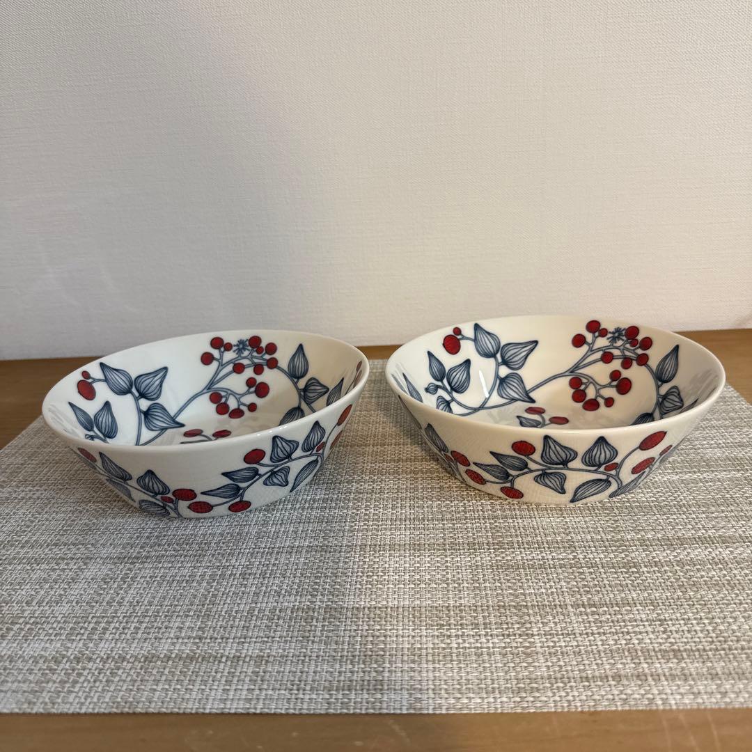 アラビア ルノ フロストベリー17cmボウル2個セット - メルカリ