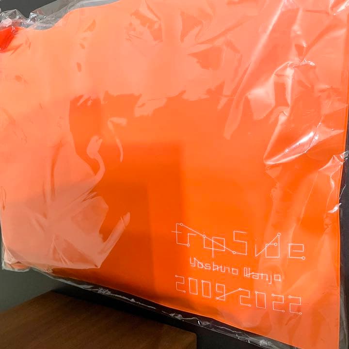 南條愛乃 fripSide卒業記念オレンジセット - メルカリ