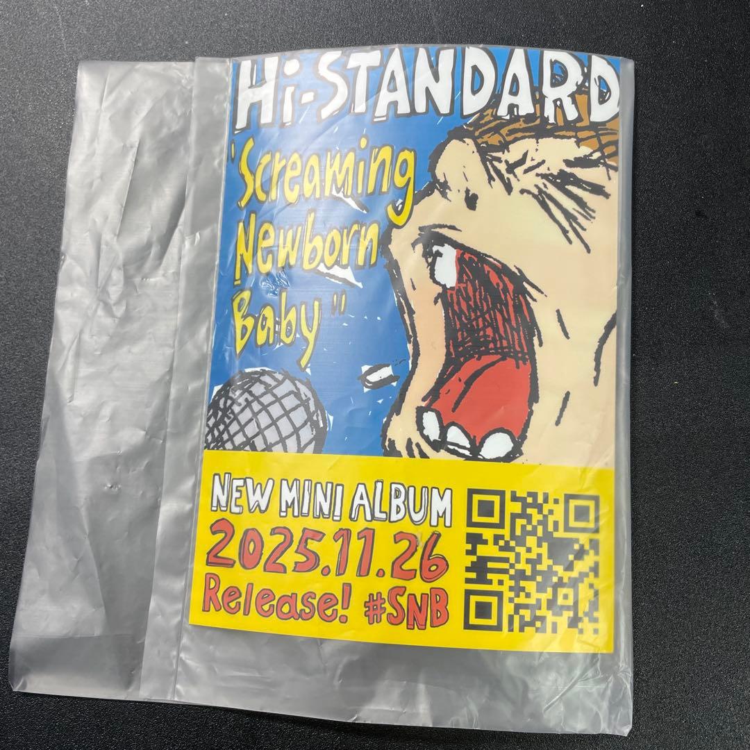 Hi-STANDARD Screaming Newborn Baby ポスター - メルカリ
