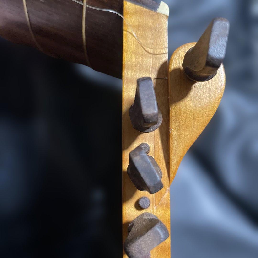 川*獺様 ARIA ルネサンスリュート 10コース アリア 門野厳 - メルカリ