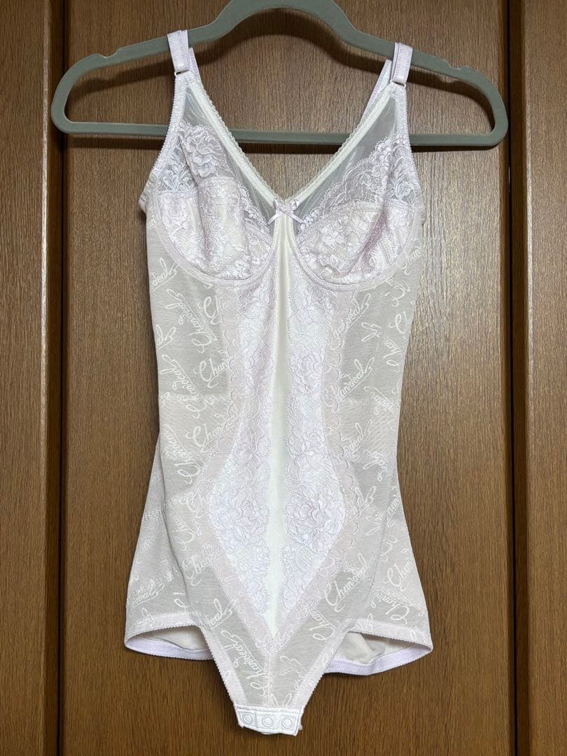 シャンデール ピンク ボディスーツ ロゴ柄メッシュ D75ぐらい - メルカリ