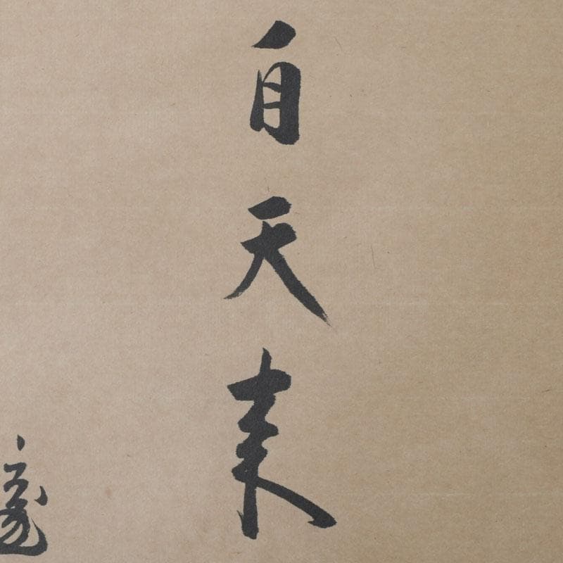 eiri様専用 掛軸 鵬雲斎筆 寿誉涯 9760A 福自天来 9759A 2点 - メルカリ