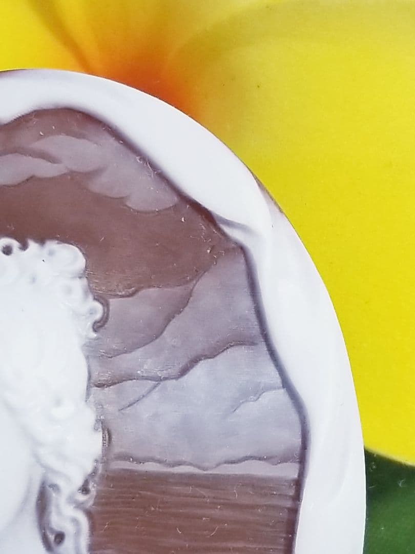 KS-166 【ジェンナロ・ガロファロ作】天然シェルカメオルース - メルカリ