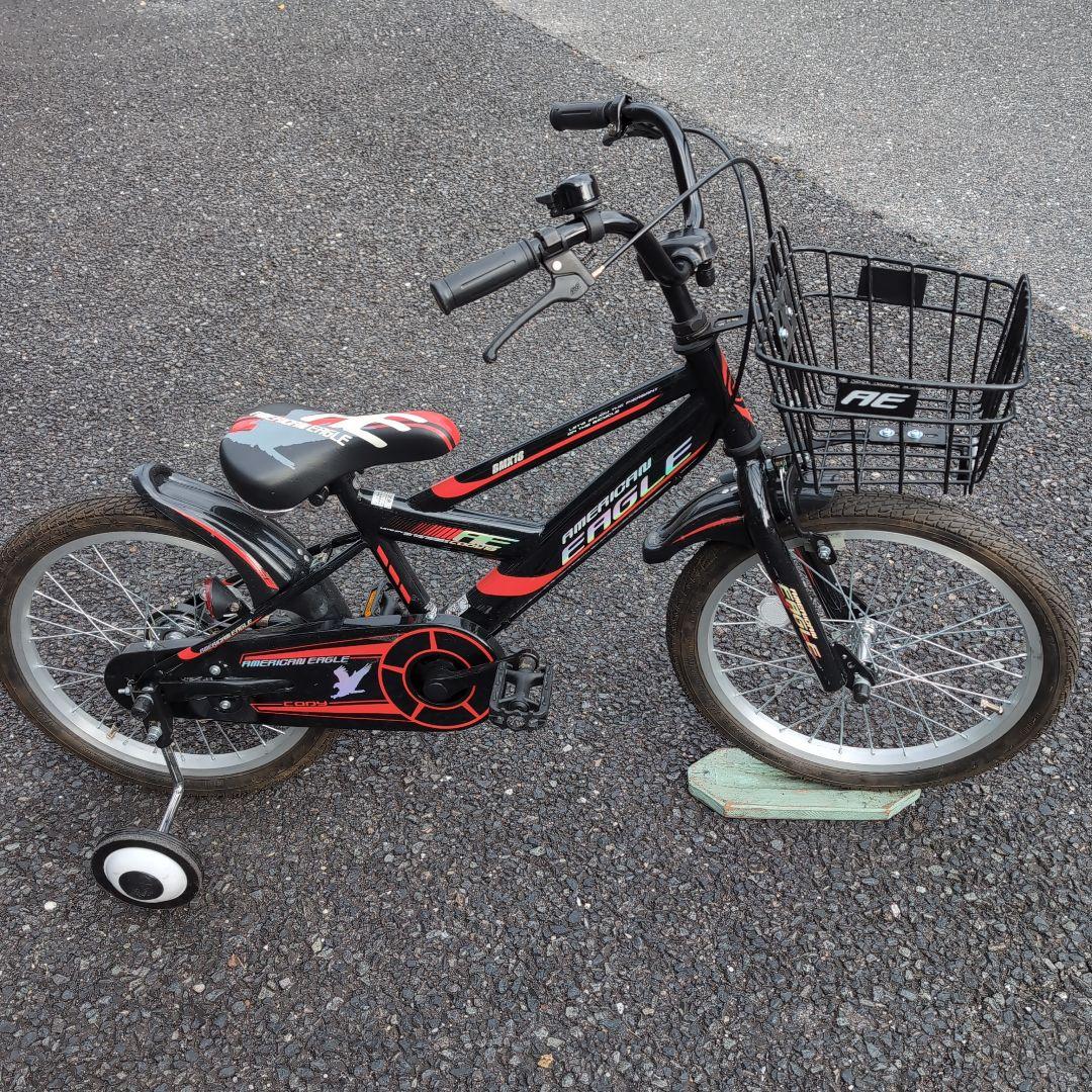 【手渡し限定】AMERICAN EAGLE18インチ Taro Washimi 鷲見太郎 ペンダント K18イエローゴールドNEWサンダー