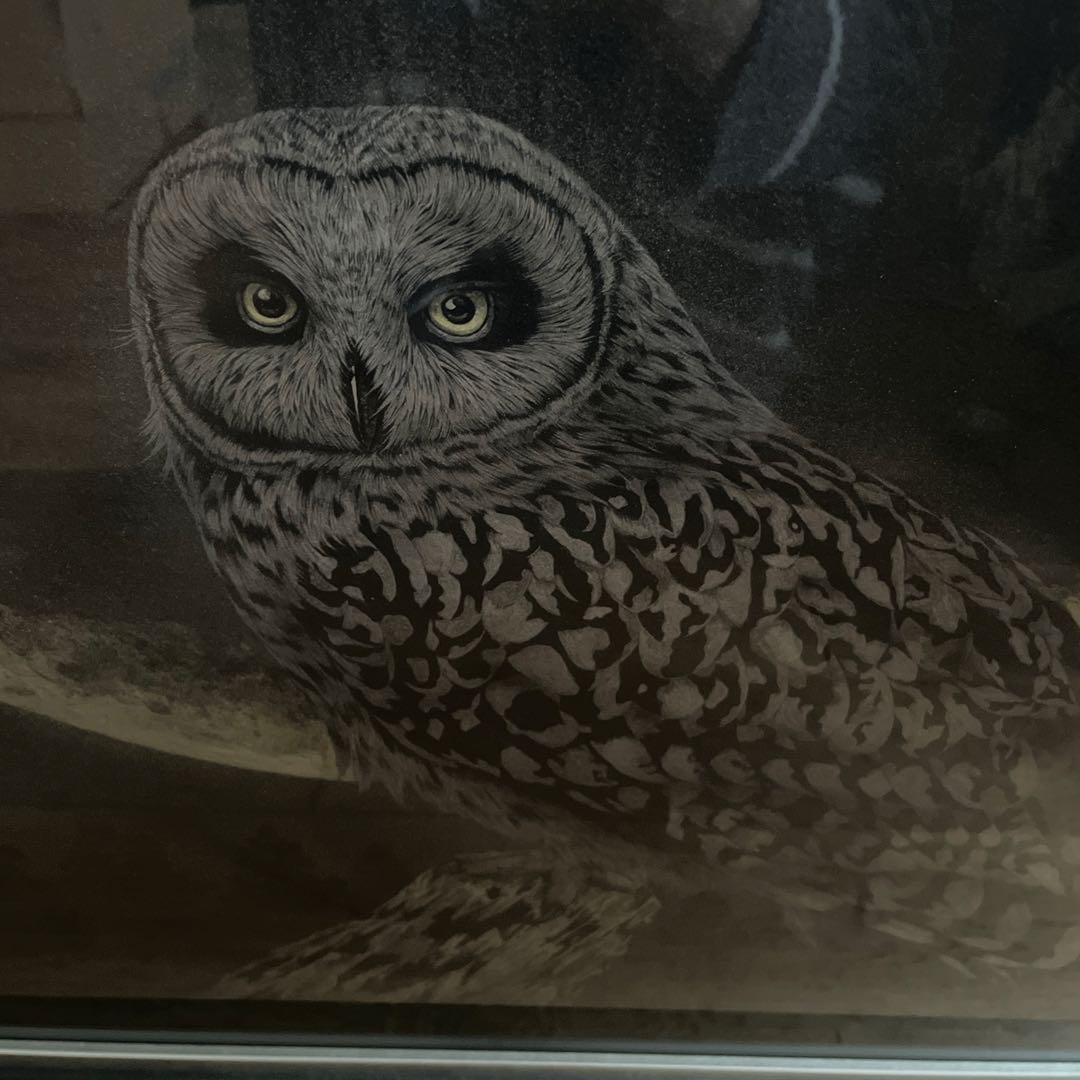 金澤隆 日本画 夜の帳 フクロウ インテリア 額縁 絵画 - メルカリ