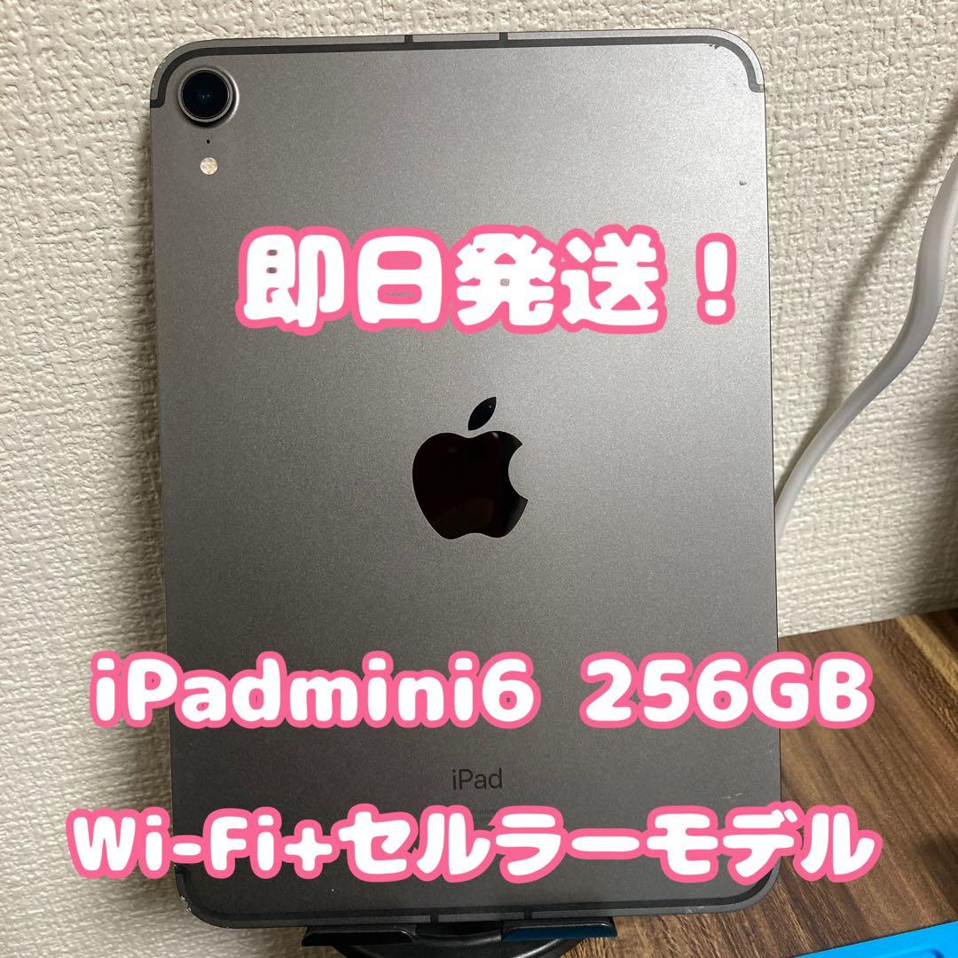 【最終値下げ】iPadmini6 Wi-Fi+セルラーモデル 256GB iPad mini Wi‑Fi + Cellularモデル 256GB - スペースグレイを購入