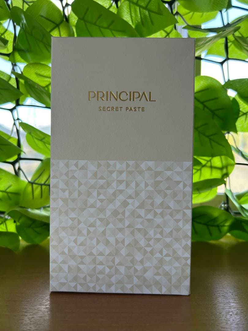 【新品未使用】炭酸ガスパックPRINCIPAL SECRET PASTE プリンシパル シークレットペースト（50日分） – PRINCIPAL STORE