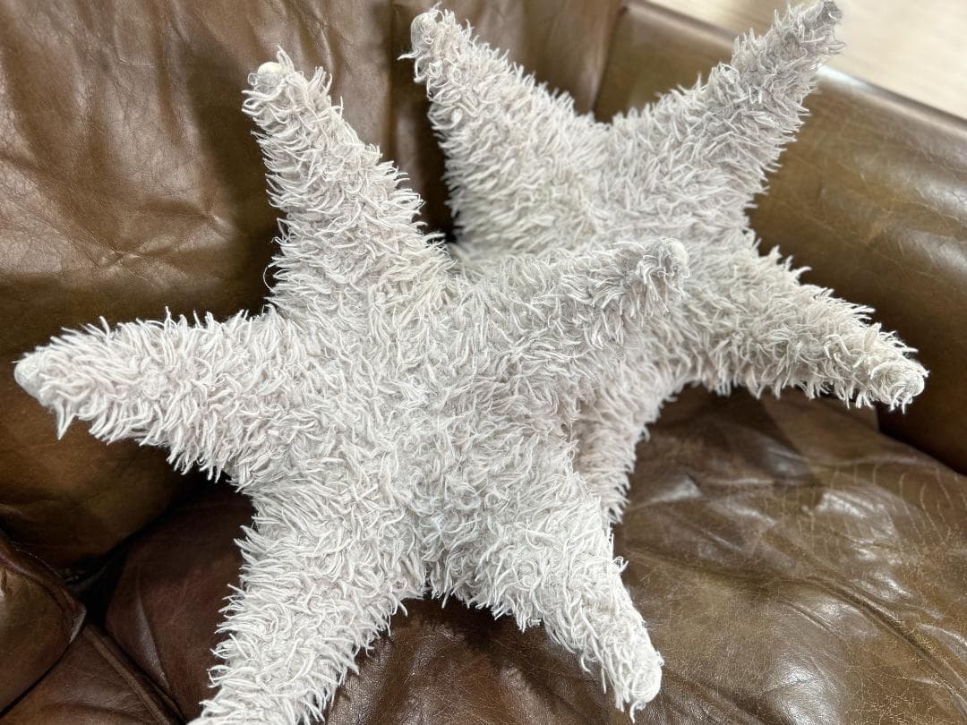 【セット】Ron Herman / ロンハーマン　BigStuffed　ヒトデ Ron Herman Livingがセレクトした特別なペットアイテムが9月14日（土