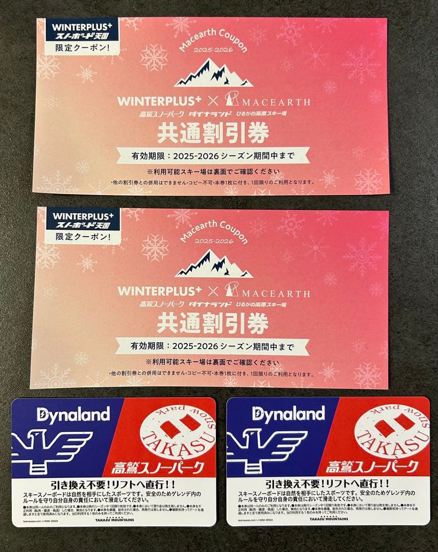 高鷲スノーパーク ダイナランド 共通リフト券 2枚 割引券付き - メルカリ