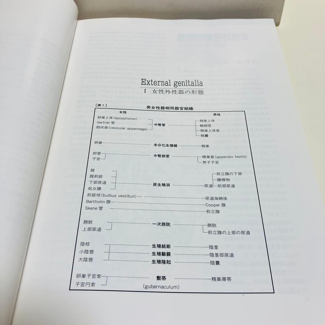 外箱・グラフィン紙カバー付き　日本女性の外性器　日本性科学大系 1 匿名配送