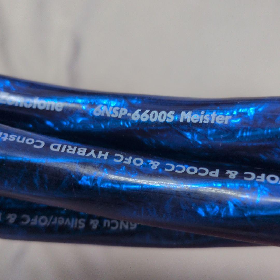 ゾノトーン　zonotone 6NSP-6600S 　1.25m 2本