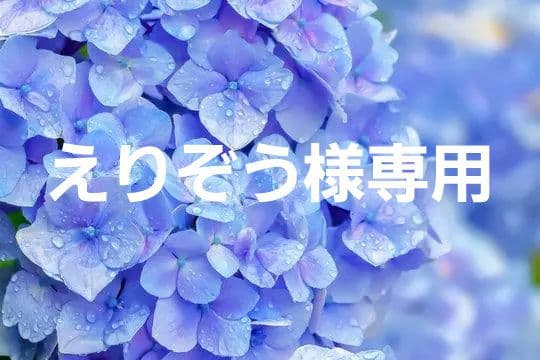 えりぞう【マスク】３種類セット 究極のヤマシン・フィルタマスク Zexeed® 3枚入り – ヤマシンフィルタ