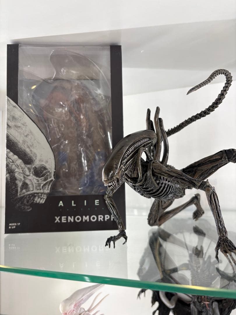 ネカ　エイリアン　コヴェナント　ゼノモーフ　豆魚雷 Amazon | NECA Alien: Covenant - 7