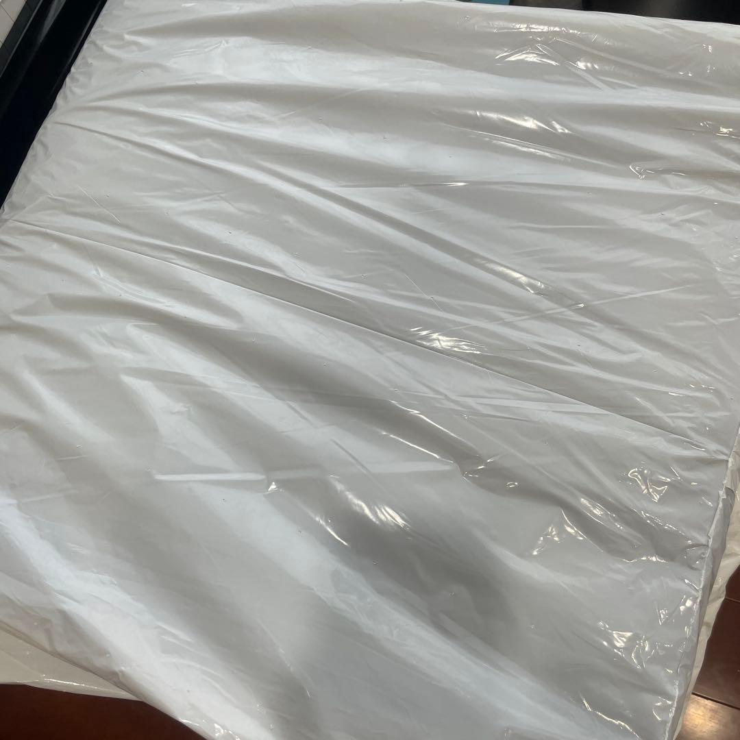 新品未開封☆トゥルースリーパー（True Sleeper ）ごろ寝マット 未使用