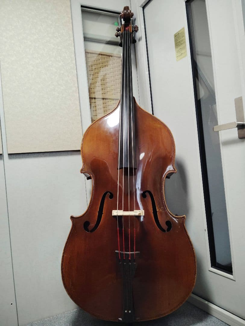 コントラバス ウッドベース チャキ F-20 表単板 ケース付 スピロコア弦 CHAKIE チャキ ウッドベース F-20 コントラバス - 楽器の買取屋さん