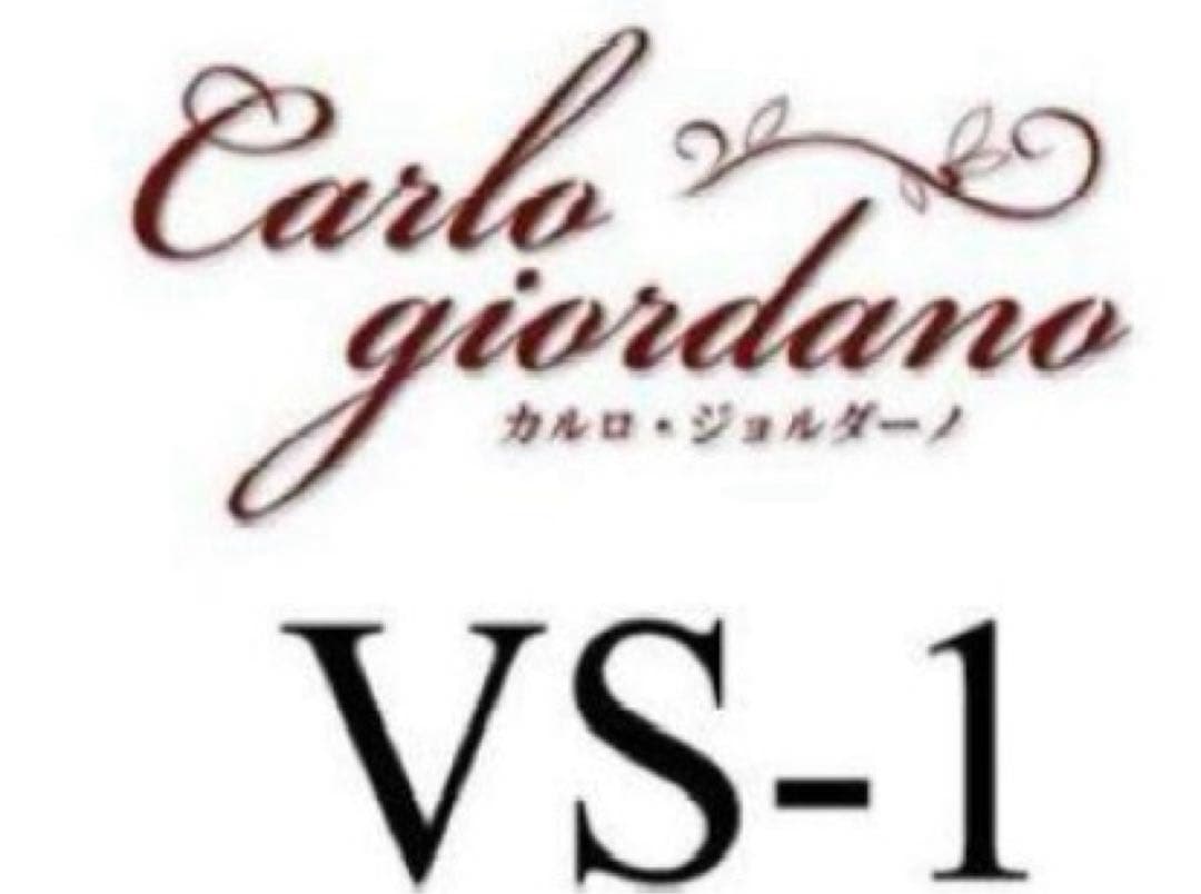 もこもこもこ様】カルロ・ジョルダーノ VS-1 1/16 (ケース肩当て付き