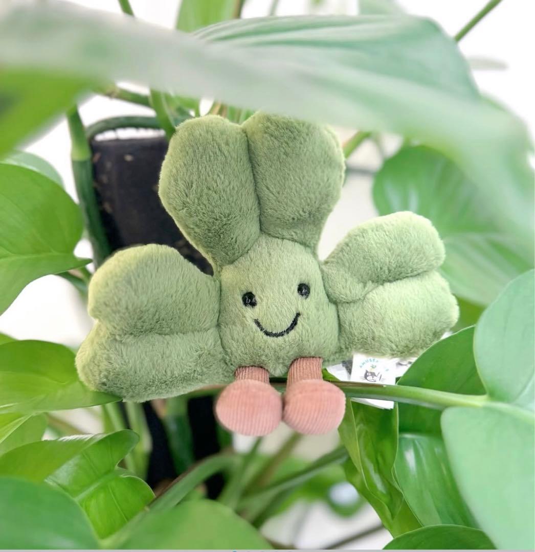 ジェリーキャット Siofra Shamrock クローバー アイルランド限定