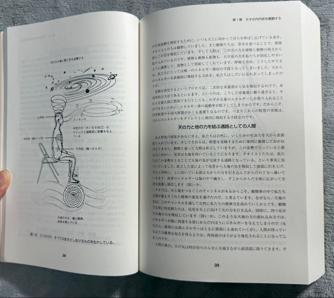 【希少セット売り】　気内臓療法　タオ人間医学
