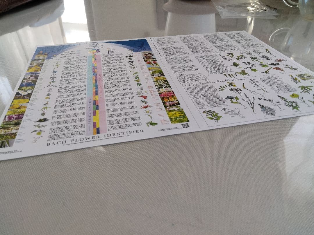 mattya様 クラブアップル エルム ゲンチアナ ミムラス マスタード