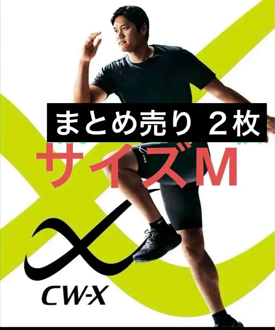 2枚セット ZX-14R 12-22 M2 ブラックカーボンスリップオン デュアルマフラー Two