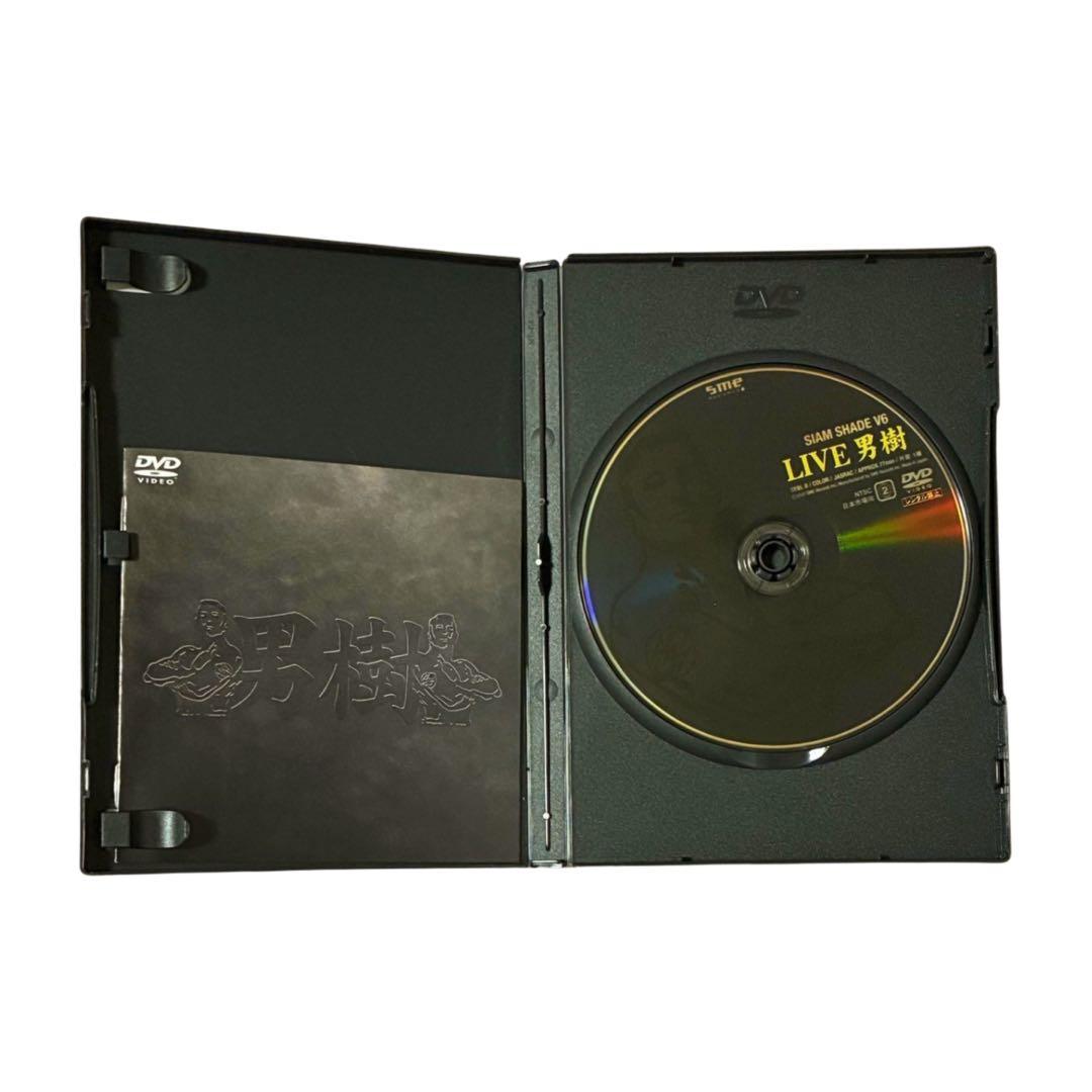SIAM SHADE ライブDVD V4・V6 2枚セット - メルカリ