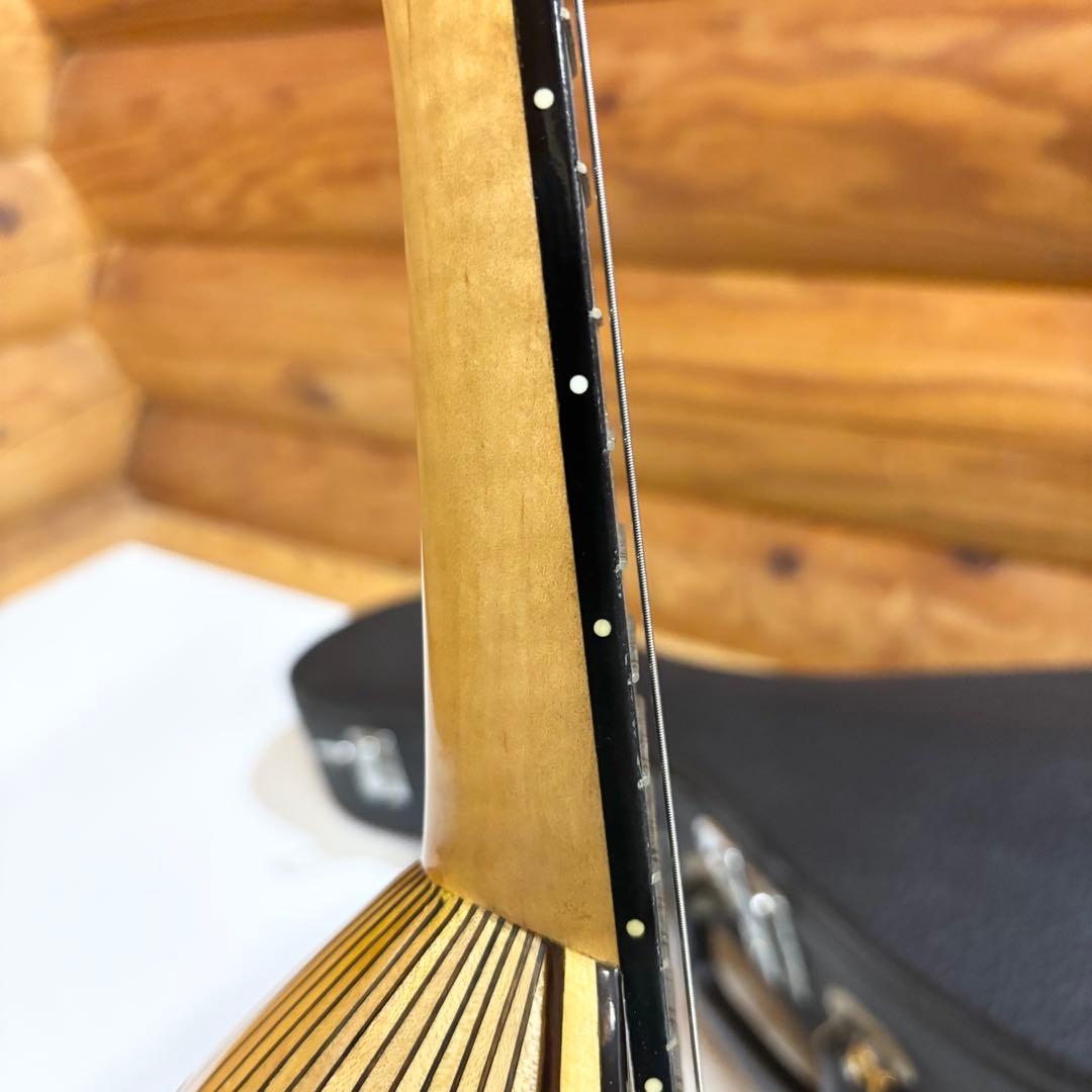 美品】SUZUKI マンドリン M-80 Master Hand 波状リブ胴 - メルカリ