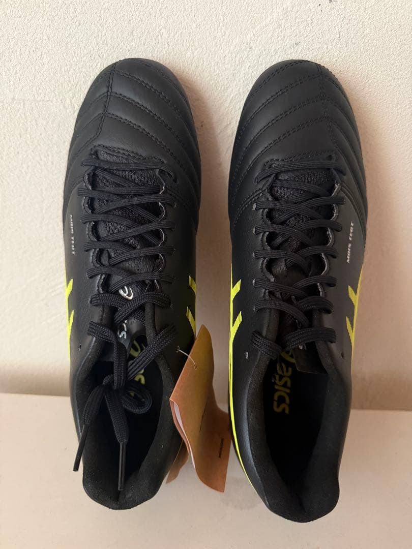 最終値下げ！新品asics DS LIGHT X-FLYPRO 24.5cm