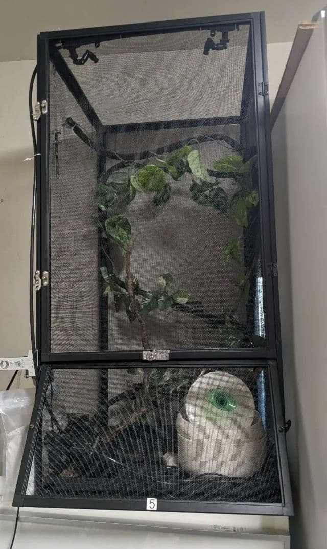 GEX カメレオン飼育１１点セット　エキゾテラスクリーンテラリウム４５９０ Amazon.co.jp: GEX EXOTERRA スクリーンテラリウム4590 PT2677 爬虫類