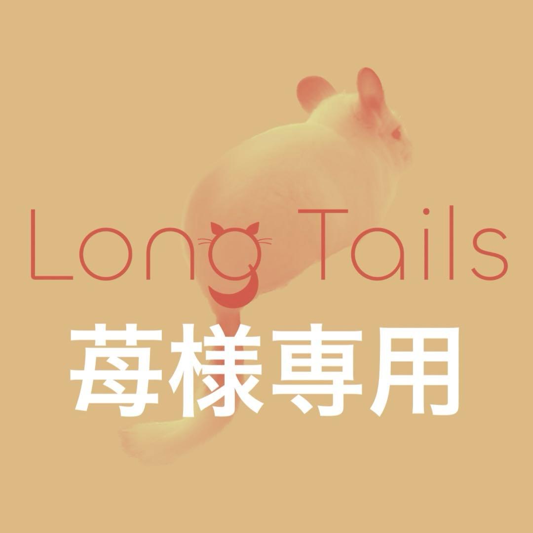 苺 楽天市場】静岡県 ”苺屋山崎 レッド山崎” 秀品 2pc（1pcあたり5〜15粒