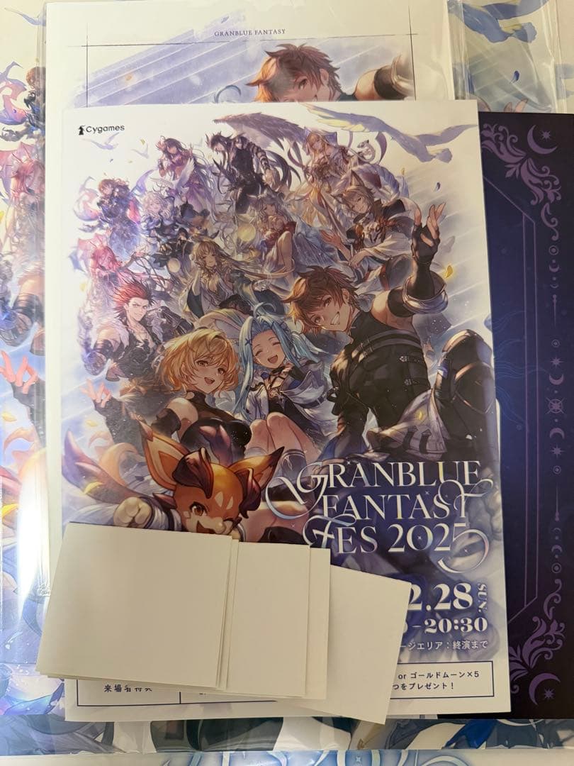 新品・未使用】グラブルフェス2025 パンフレット 来場特典 リアル