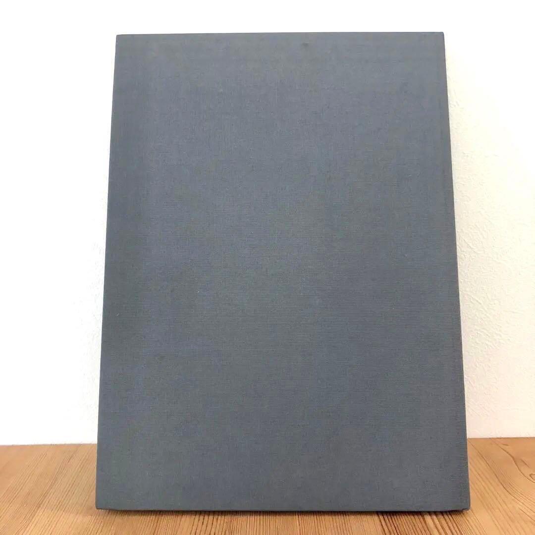 IN YOUR DREAMS／TERRI WEIFENBACH 写真集