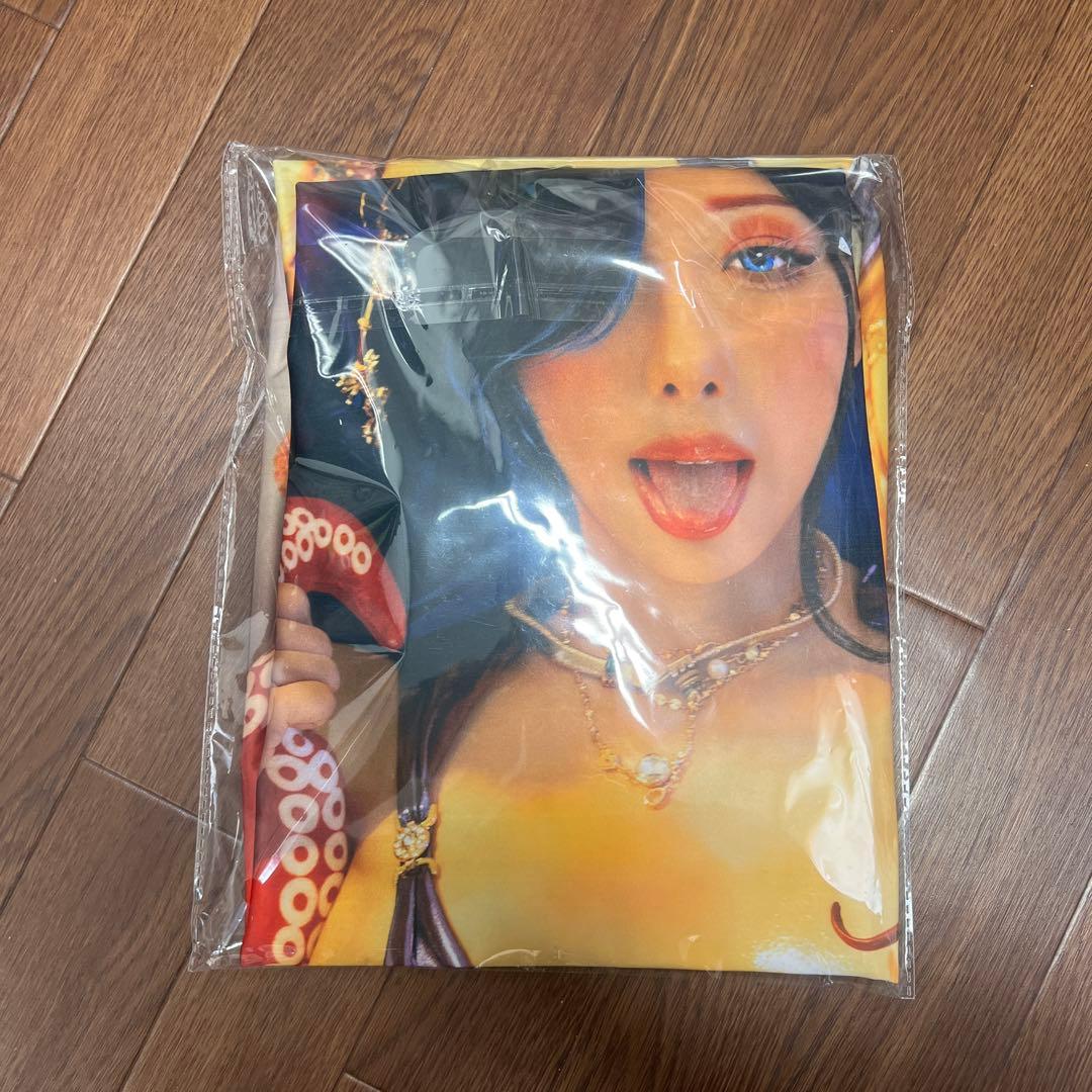 ハネアメ プラスミックス PX-13127 メガネ 眼鏡 シルバー メタルフレーム