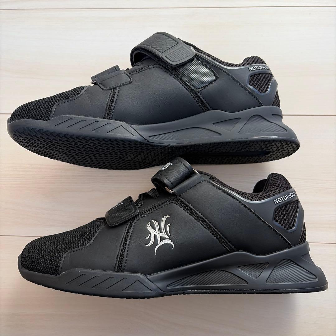 NOTORIOUS LIFT ローニンリフターズ ステルス / 43 - メルカリ