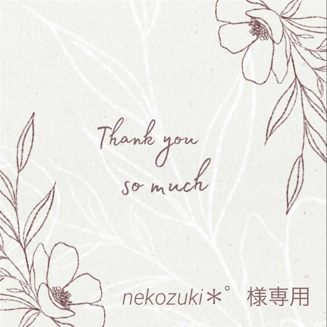 ◆nekozuki＊゜◆ Kastle ZX100 Ski 2026