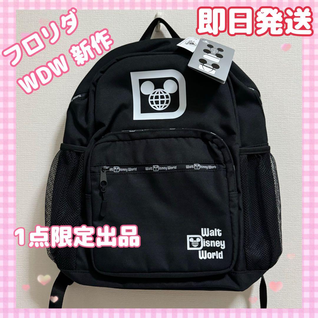 フロリダ ディズニーワールド リュック BIG - メルカリ