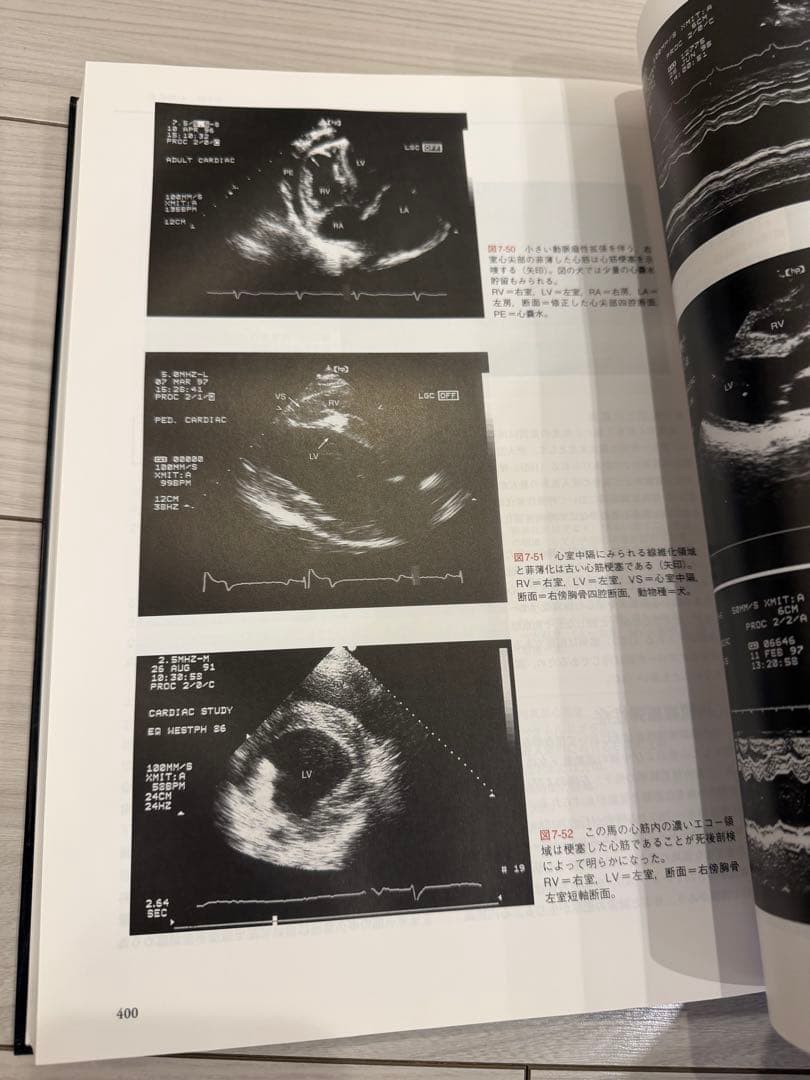 未使用 獣医臨床 超音波診断 心エコー検査による循環器疾患の理解