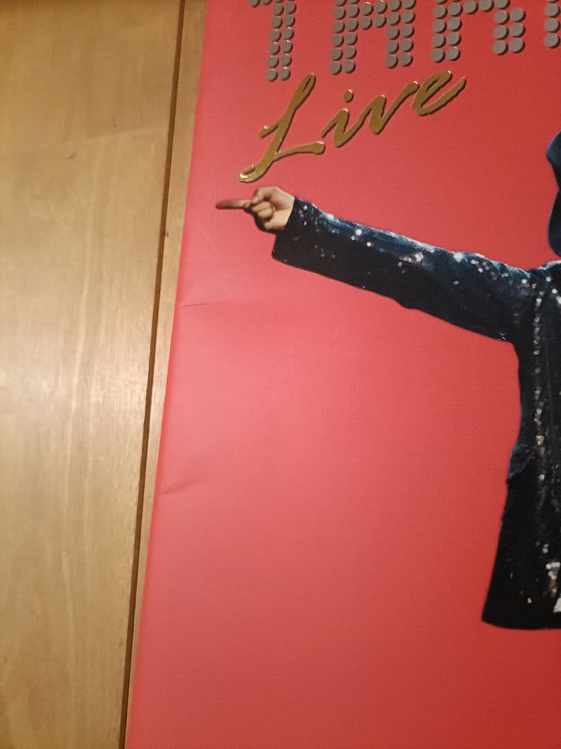 た*ち様 S.H.Figuarts マイケルジャクソン フィギュア　パンフレット