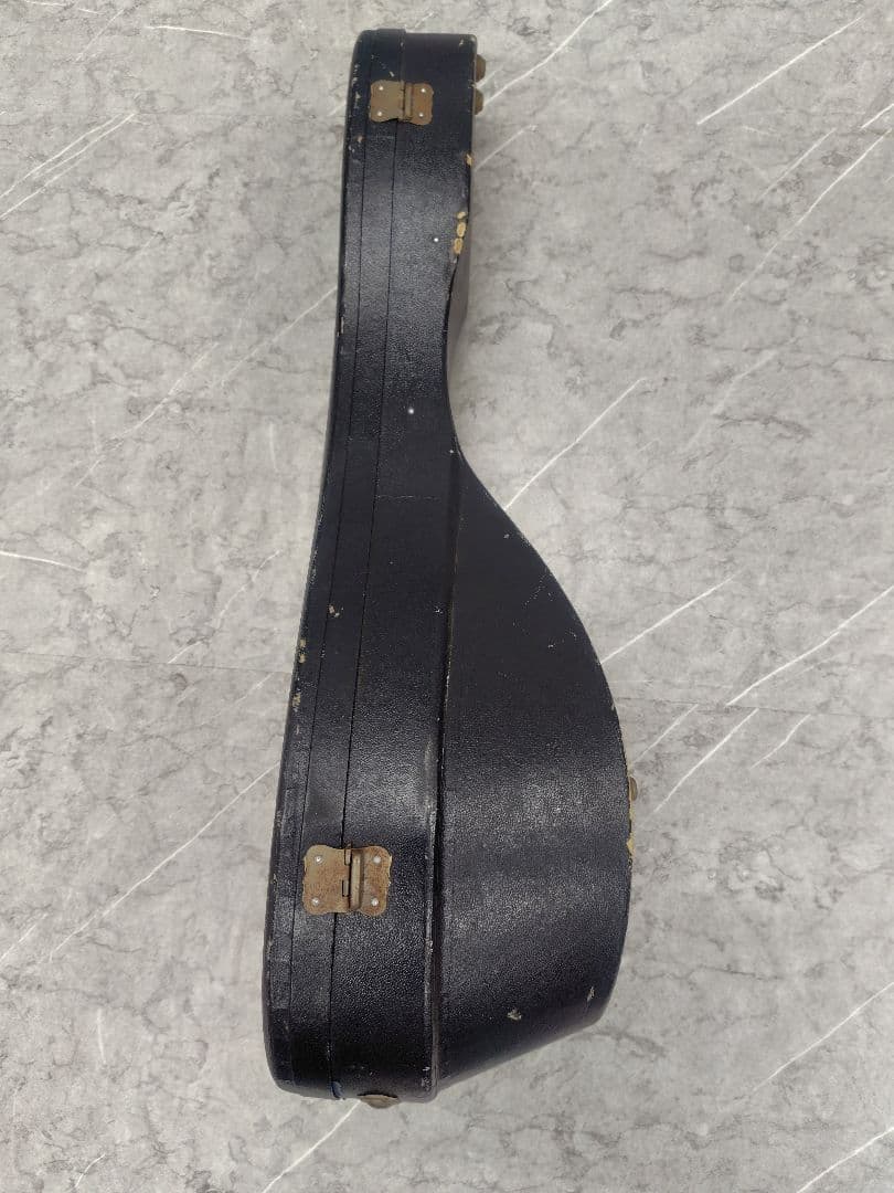 スズキ マンドリン No.70 KISO HUKUSHIMA ハードケース付き - メルカリ