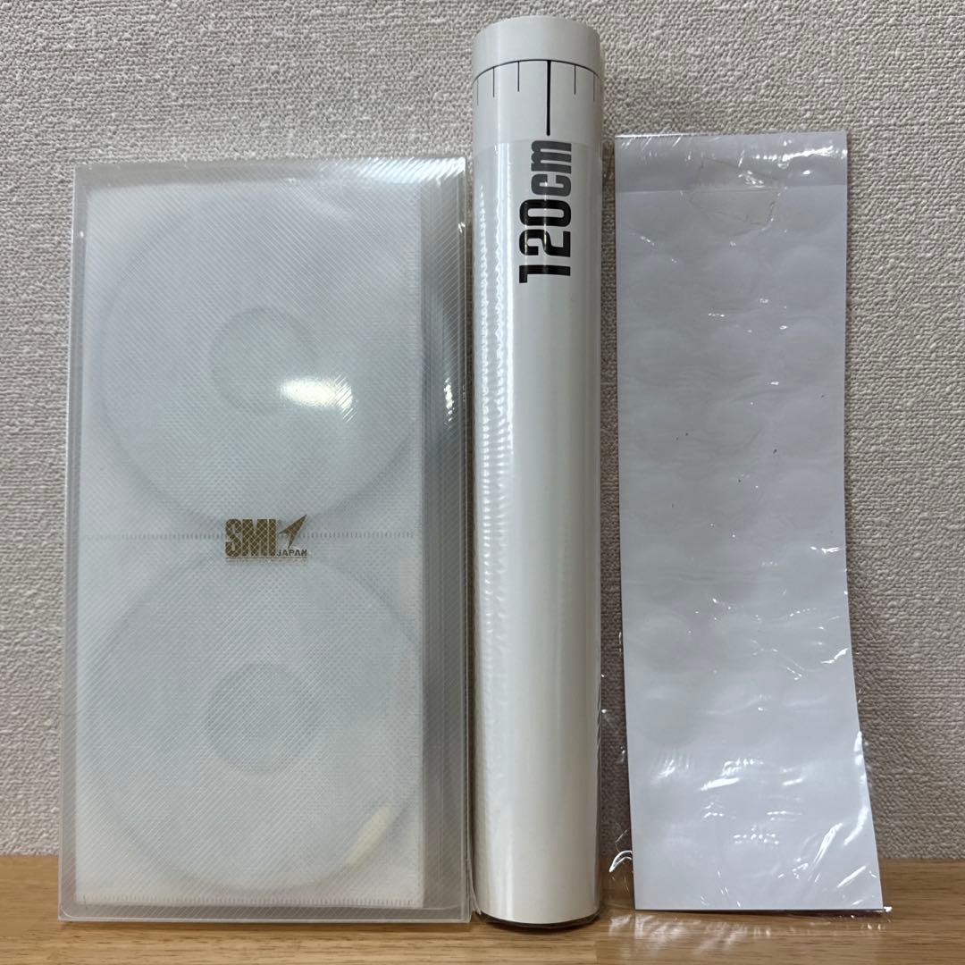 私はとくべつな人 I'M A SPECIAL PERSON ポールJマイヤー