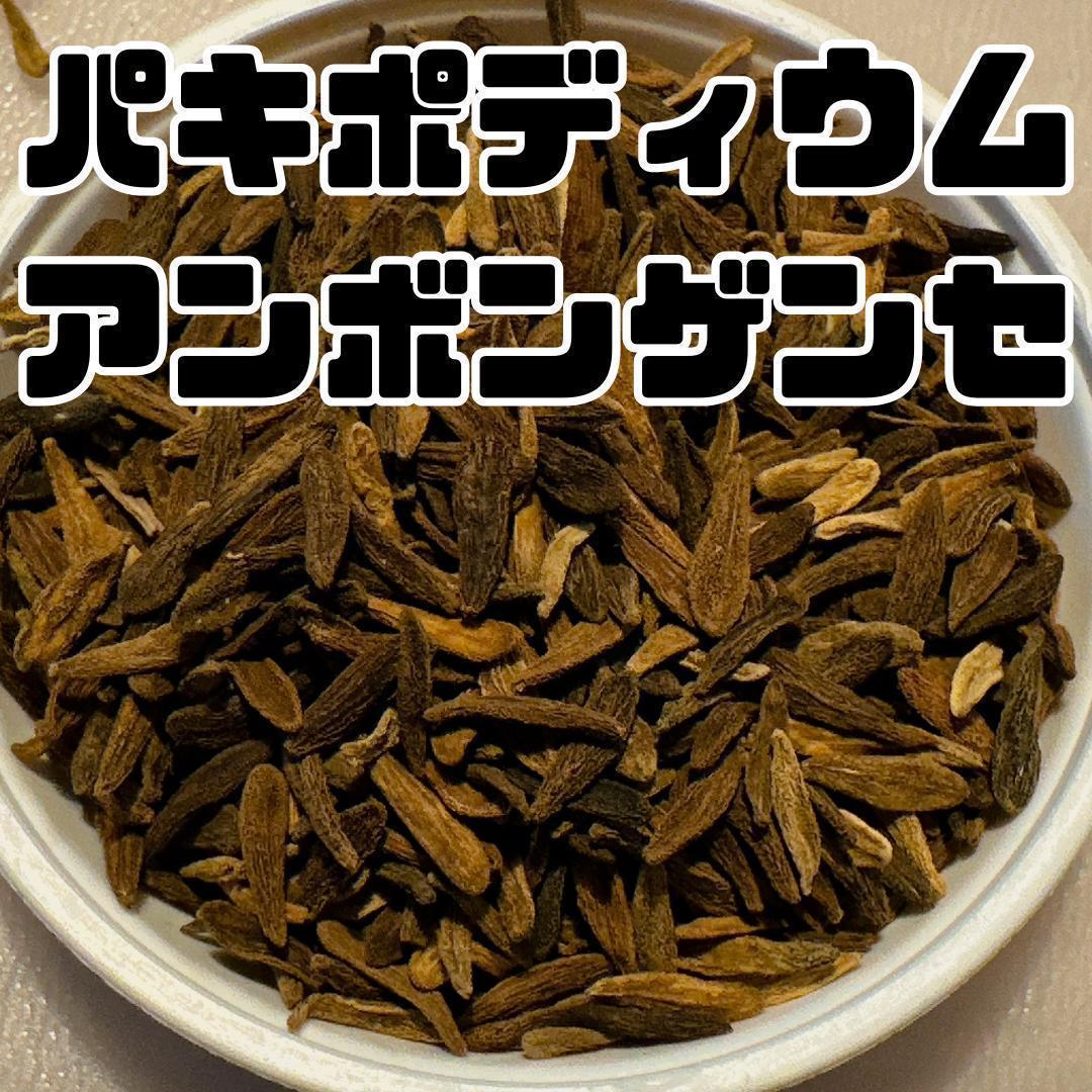 2月入荷 50粒 種子 パキポディウム アンボンゲンセ - メルカリ